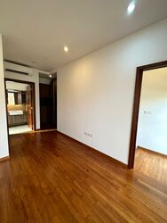 Holland Link (D10), Terrace #583549161